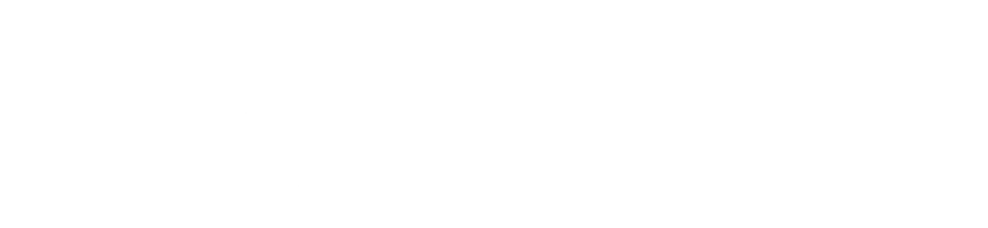 Vrijgezellenfeest?  Varen in Zwolle biedt een onvergetelijk uitje!